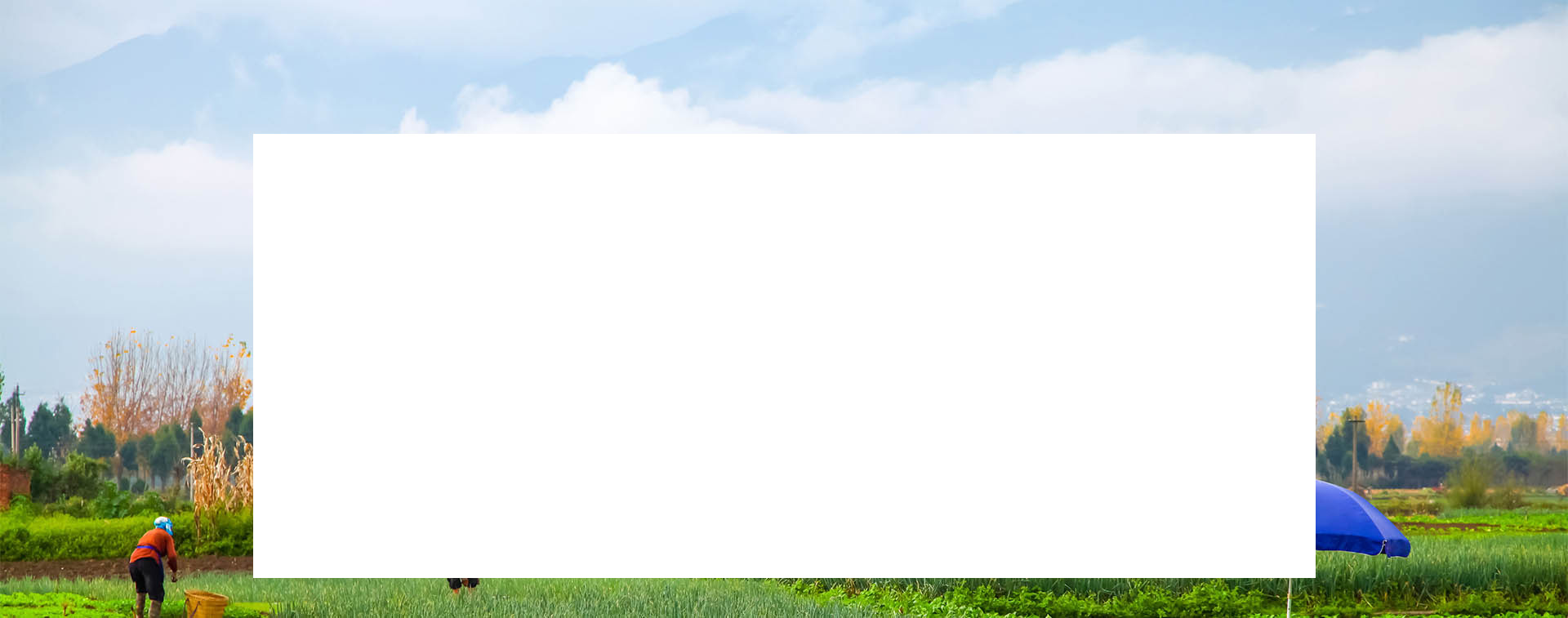 欖香烯乳狀注射液